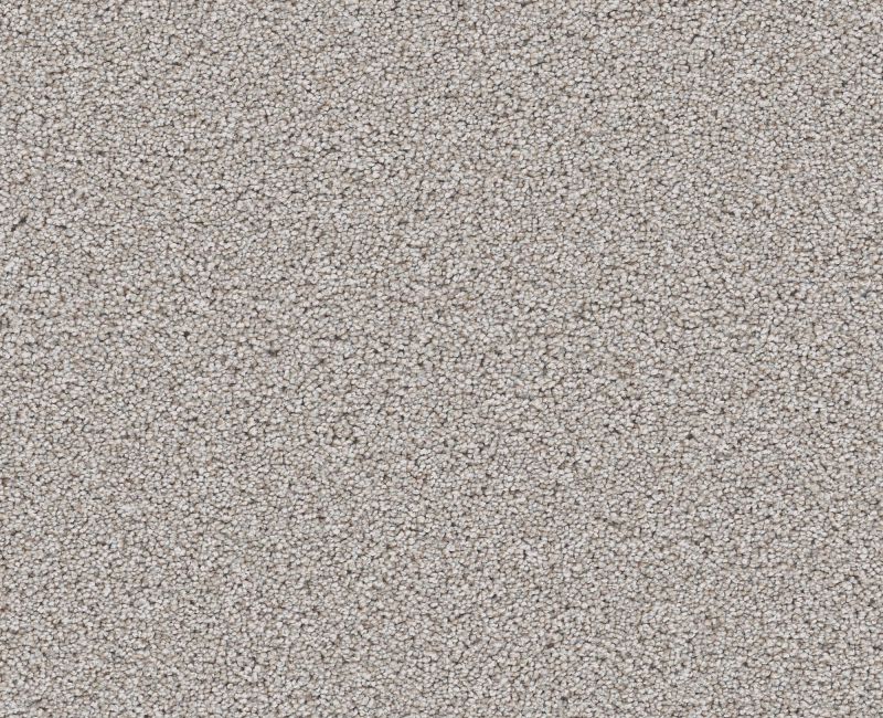 WONDERLAND III 15' Shaw carpet style 5E897 available through Carpet Tech. Of Virginia