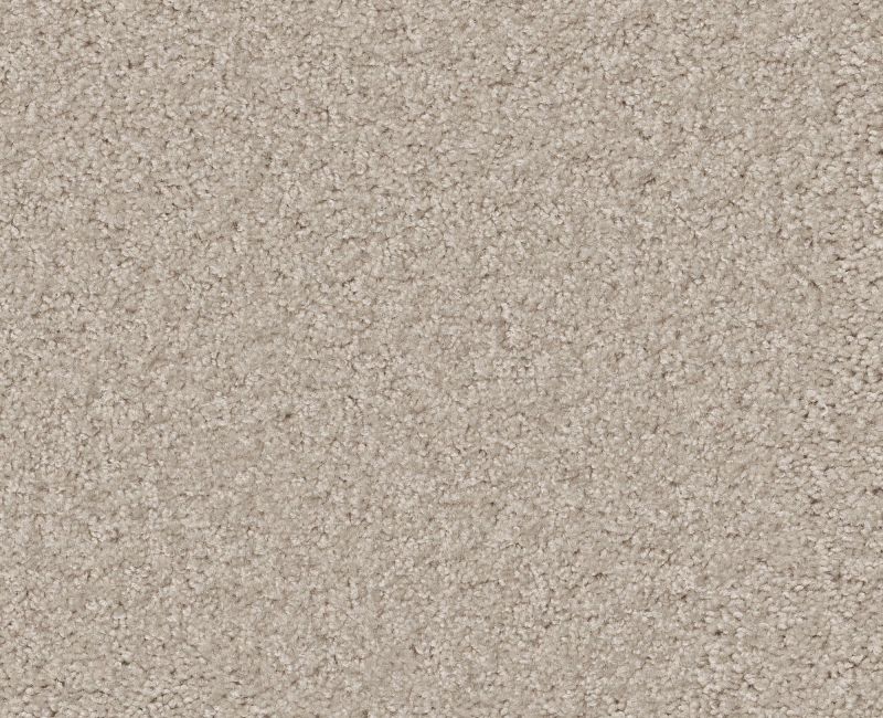 DREAMIN' 12' Shaw carpet style E0121 available through Carpet Tech. Of Virginia