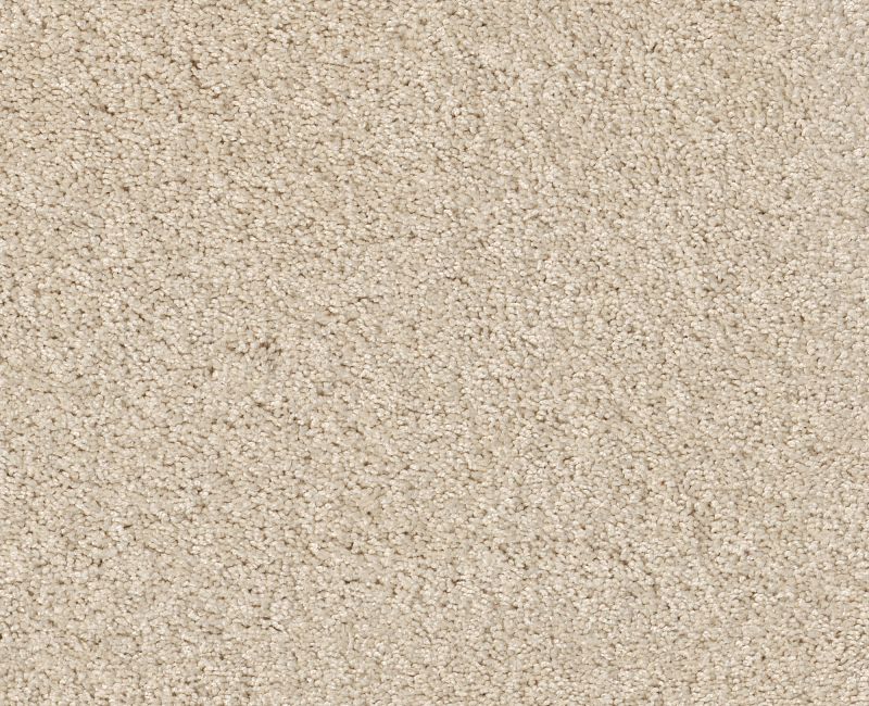 ENDURING COMFORT I Shaw carpet style E0341 available through Carpet Tech. Of Virginia