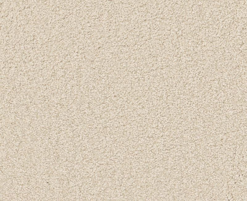 ENDURING COMFORT III Shaw carpet style E0343 available through Carpet Tech. Of Virginia
