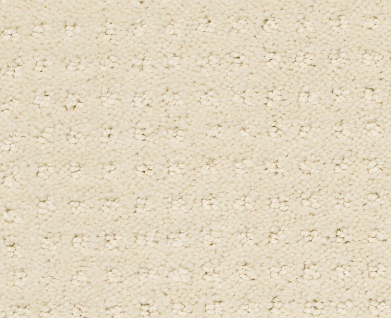 ENDURING COMFORT PATTERN Shaw carpet style E0404 available through Carpet Tech. Of Virginia