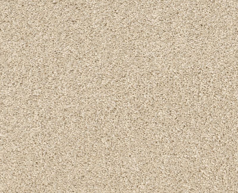 ORIGINS Shaw carpet style E0523 available through Carpet Tech. Of Virginia