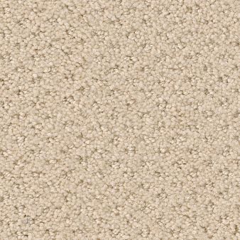GENESIS color sample WINTER WHI.. 00100
