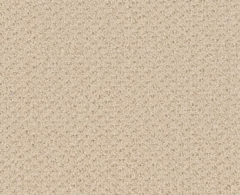 GENESIS Shaw carpet style E0525 available through Carpet Tech. Of Virginia