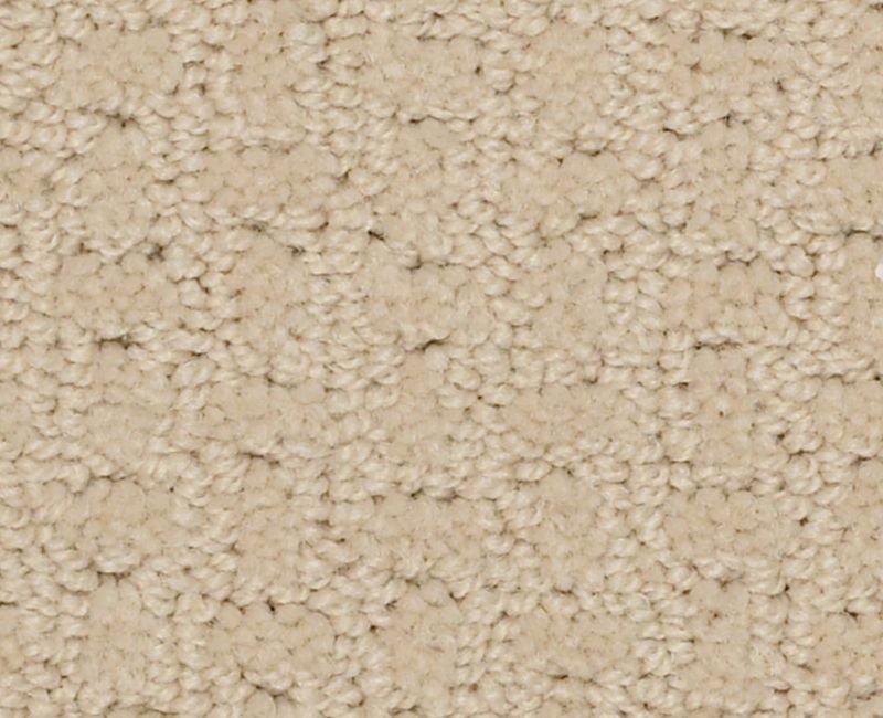ACTIVATE Shaw carpet style E0526 available through Carpet Tech. Of Virginia