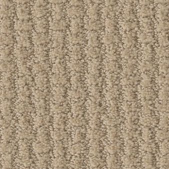 ACTIVATE color sample DUNES 00102