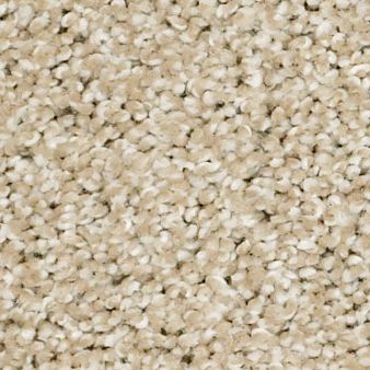 PICTURESQUE color sample DUNES 00102