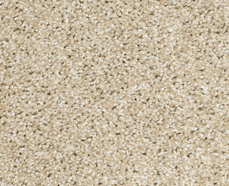 PICTURESQUE Shaw carpet style E0539 available through Carpet Tech. Of Virginia