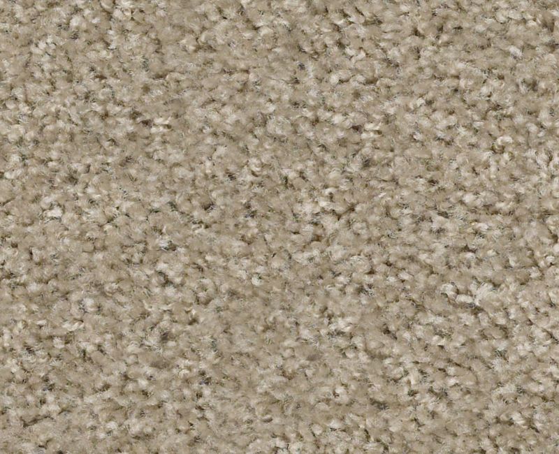 MAX APPEAL Shaw carpet style E0568 available through Carpet Tech. Of Virginia