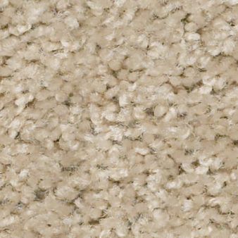 MAX APPEAL color sample VENETIAN T.. 00106