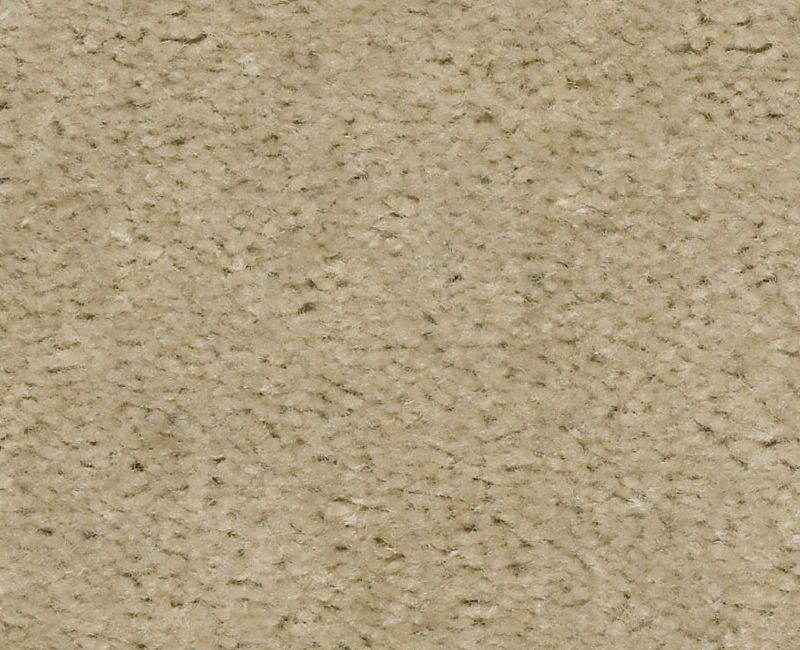 LET'S RACE Shaw carpet style E0588 available through Carpet Tech. Of Virginia