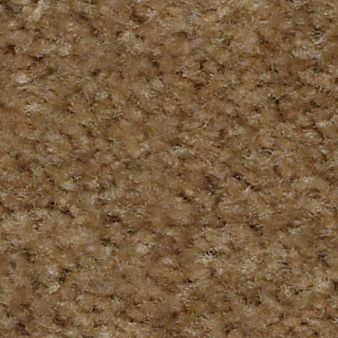 LET'S RACE color sample MINK 00720