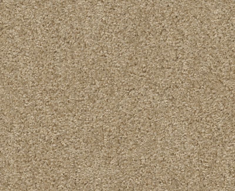 PLAY HARD Shaw carpet style E0589 available through Carpet Tech. Of Virginia