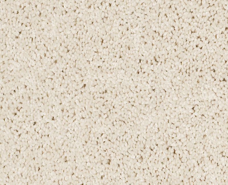 MY CHOICE II Shaw carpet style E0651 available through Carpet Tech. Of Virginia