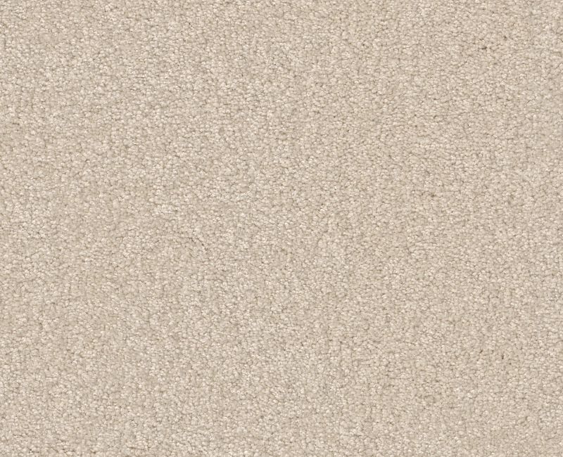 YOU KNOW IT Shaw carpet style E0807 available through Carpet Tech. Of Virginia