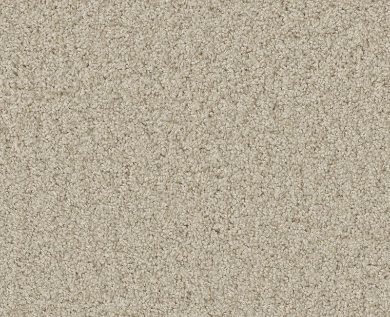 PARLAY Shaw carpet style E0811 available through Carpet Tech. Of Virginia