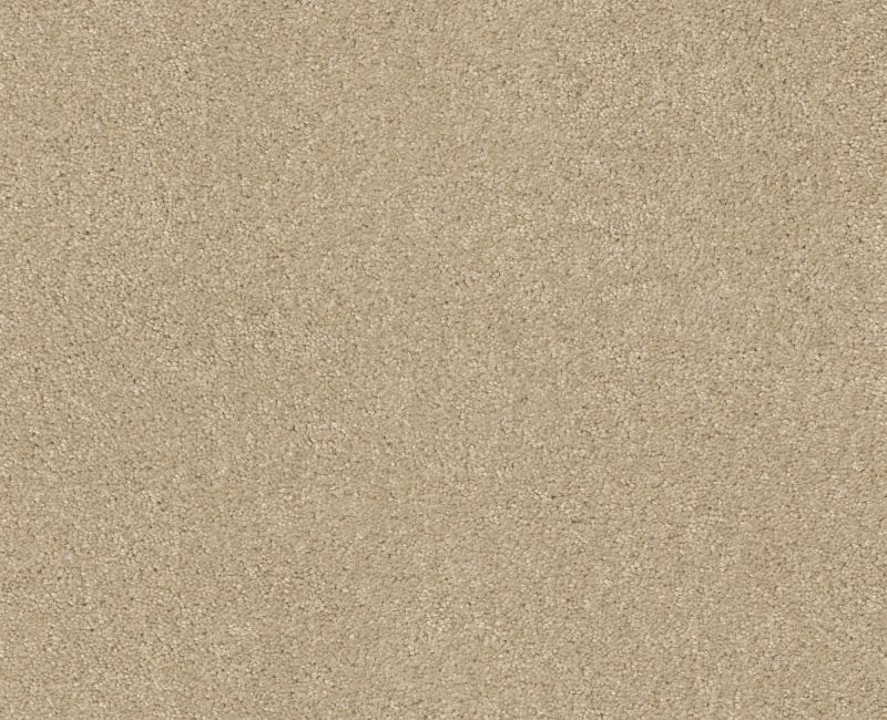 THAT'S RIGHT Shaw carpet style E0812 available through Carpet Tech. Of Virginia