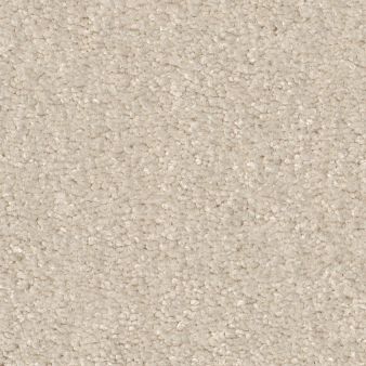 WHAT'S UP color sample ROYAL SILK 00100