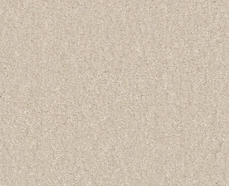 WHAT'S UP Shaw carpet style E0813 available through Carpet Tech. Of Virginia