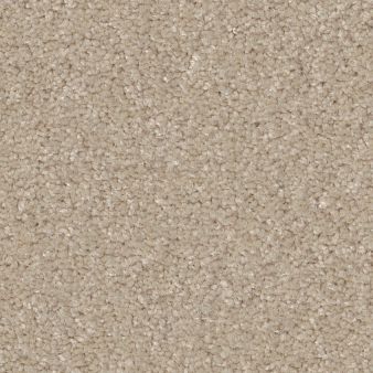 WHAT'S UP color sample SANDY SHOR.. 00101
