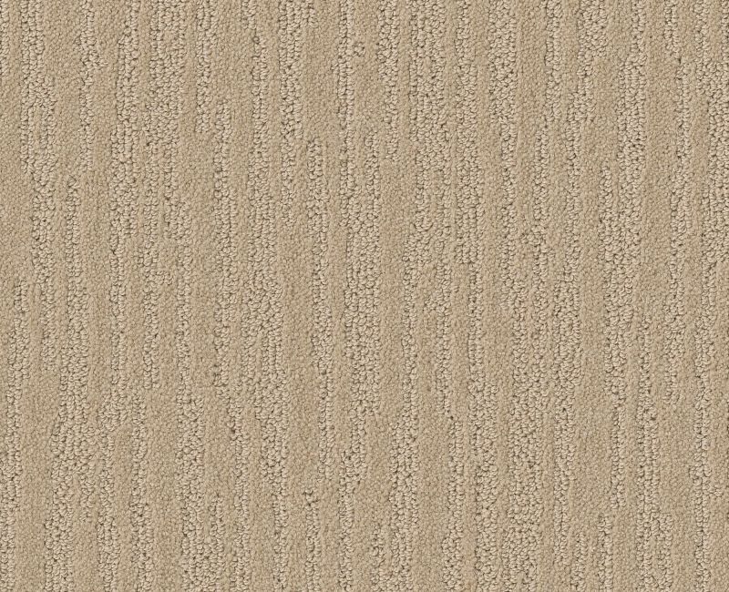 BANDON DUNES Shaw carpet style E0823 available through Carpet Tech. Of Virginia