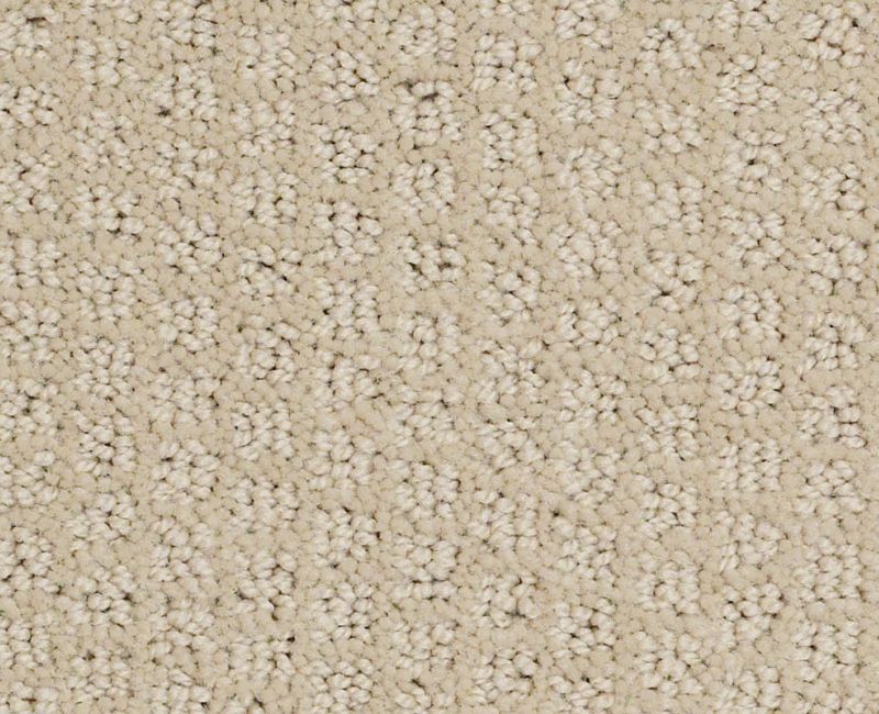 PACIFIC TRAILS Shaw carpet style E0824 available through Carpet Tech. Of Virginia