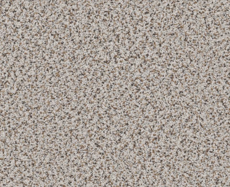 ELEMENTAL MIX I Shaw carpet style E9564 available through Carpet Tech. Of Virginia