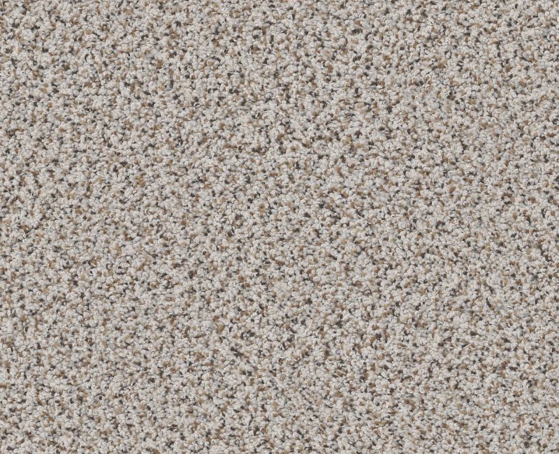 ELEMENTAL MIX II Shaw carpet style E9565 available through Carpet Tech. Of Virginia
