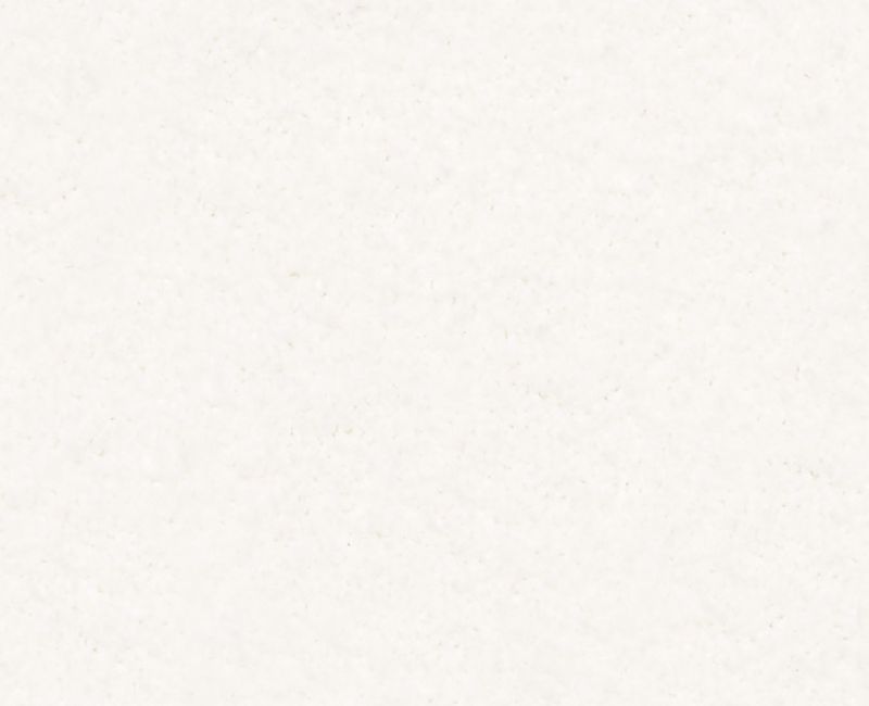 KEEN SENSES I Shaw carpet style E9714 available through Carpet Tech. Of Virginia