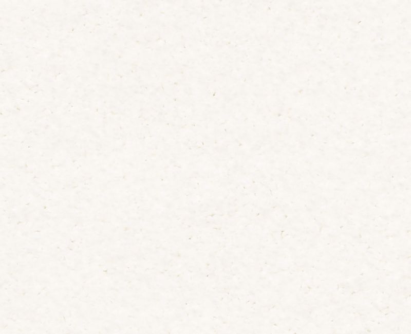 KEEN SENSES II Shaw carpet style E9715 available through Carpet Tech. Of Virginia