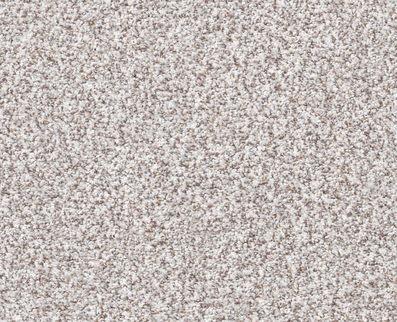 MAKE IT WORK Shaw carpet style E9716 available through Carpet Tech. Of Virginia