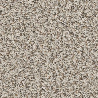 MAKE IT WORK color sample SCENIC DRI.. 00172