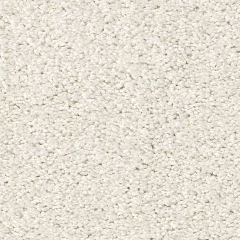 ALWAYS READY I color sample CRISP LINE.. 00171