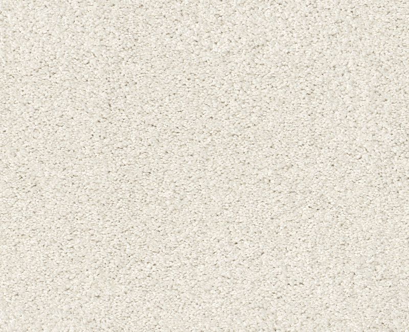 ALWAYS READY I Shaw carpet style E9717 available through Carpet Tech. Of Virginia
