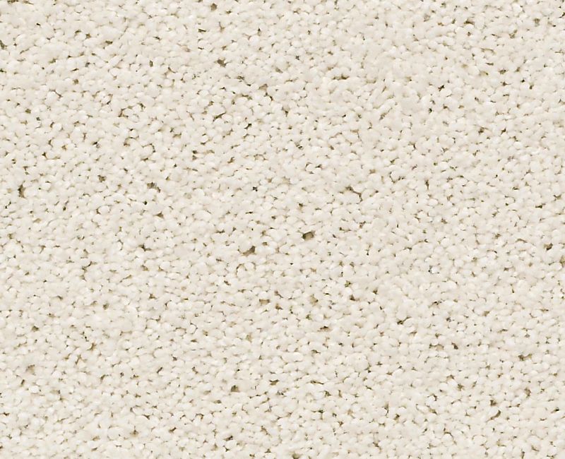 ALWAYS READY II Shaw carpet style E9718 available through Carpet Tech. Of Virginia
