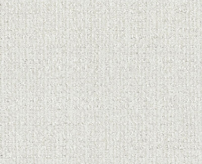 SENSIBLE NOW Shaw carpet style E9720 available through Carpet Tech. Of Virginia