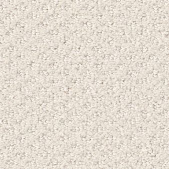INFALLIBLE INSTINCT color sample CRISP LINE.. 00171