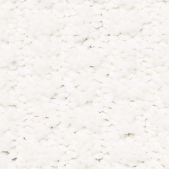 COMPLETE CONTROL color sample WHITE HOT 00170