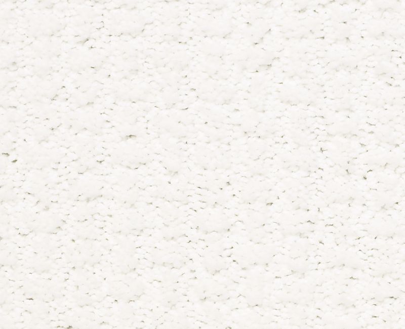 COMPLETE CONTROL Shaw carpet style E9722 available through Carpet Tech. Of Virginia