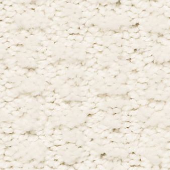 COMPLETE CONTROL color sample CRISP LINE.. 00171