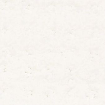 ALLURING DISPOSITION color sample WHITE HOT 00170