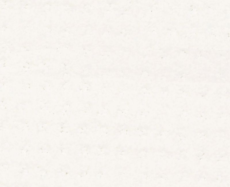 ALLURING DISPOSITION Shaw carpet style E9724 available through Carpet Tech. Of Virginia