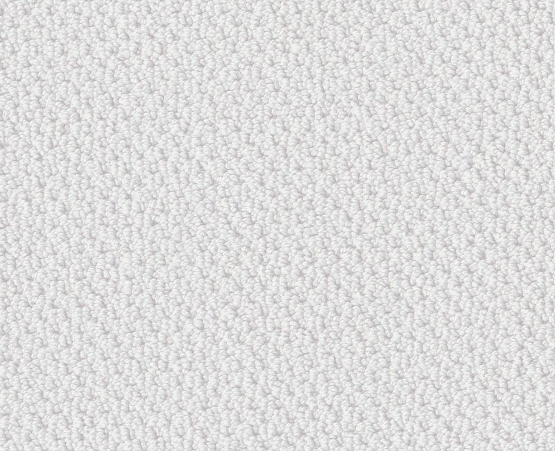 SMART THINKING Shaw carpet style E9725 available through Carpet Tech. Of Virginia