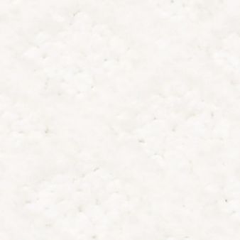 ENTWINED WITH YOU color sample WHITE HOT 00170