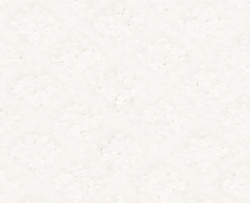 ENTWINED WITH YOU Shaw carpet style E9808 available through Carpet Tech. Of Virginia