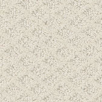 ENTWINED WITH YOU color sample CRISP LINE.. 00171