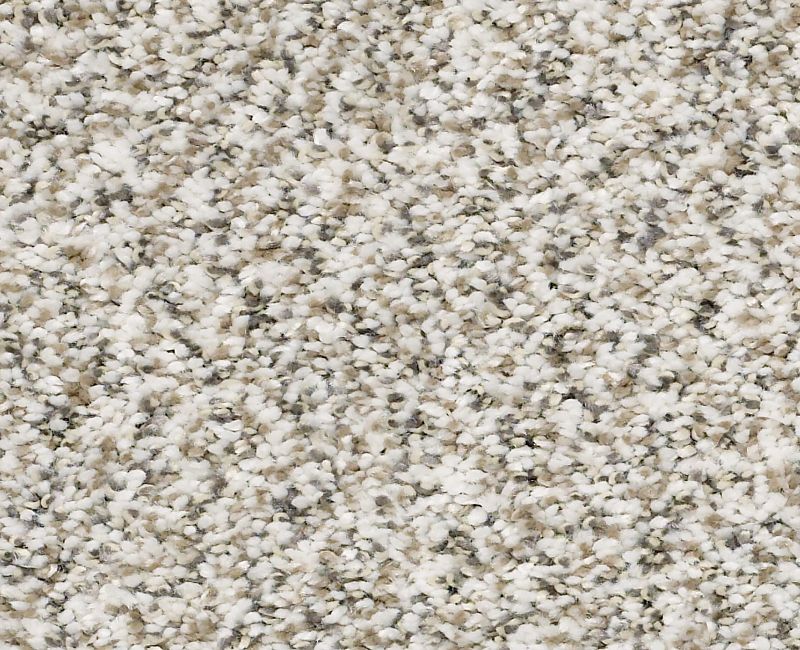 ALL SET I Shaw carpet style E9874 available through Carpet Tech. Of Virginia