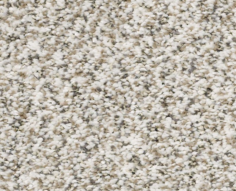 ALL SET II Shaw carpet style E9875 available through Carpet Tech. Of Virginia
