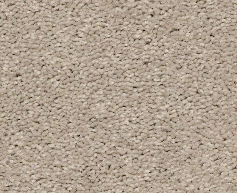 CABANA LIFE SOLID Shaw carpet style E9957 available through Carpet Tech. Of Virginia