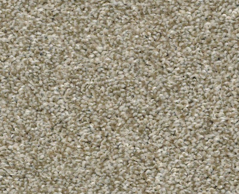 CABANA LIFE (T) Shaw carpet style E9958 available through Carpet Tech. Of Virginia